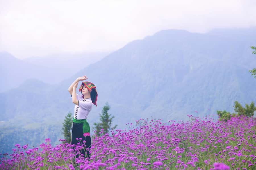 Sapa: Cat Cat Village, Moana, Alpine Coaster, Fansipan Cable - The summit buffet makes the longer tour practical