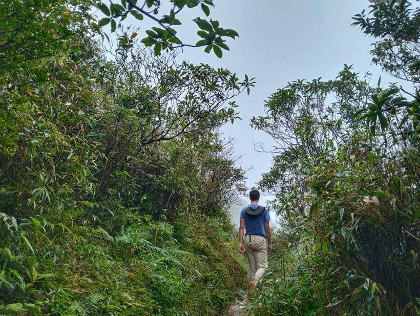 SAPA : Climb up to Fansipan mountain with LOCAL GUIDE - Key points to know before you book