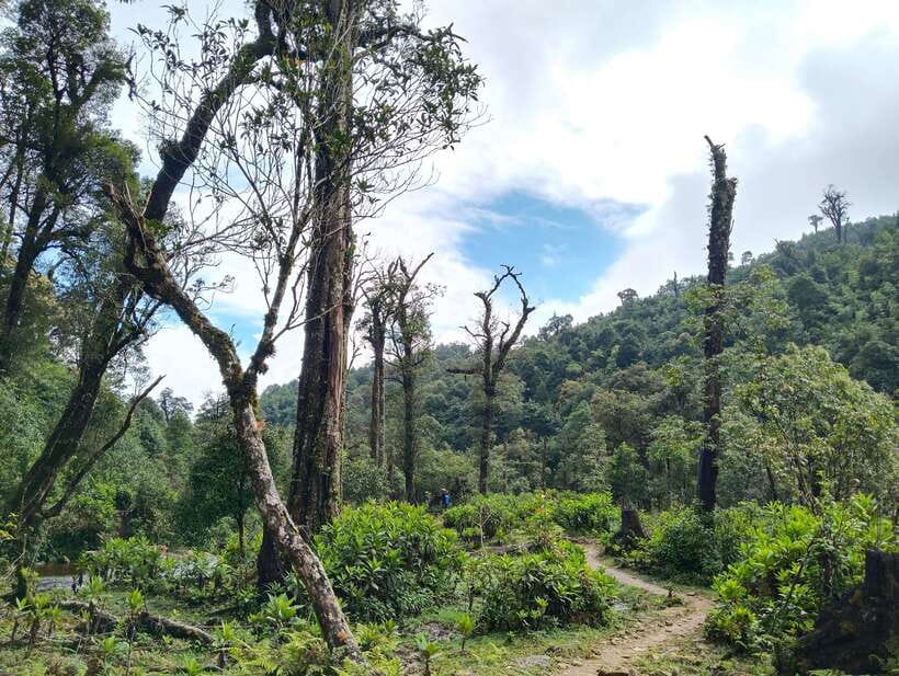 SAPA : Climb up to Fansipan mountain with LOCAL GUIDE - Why this Fansipan climb feels different
