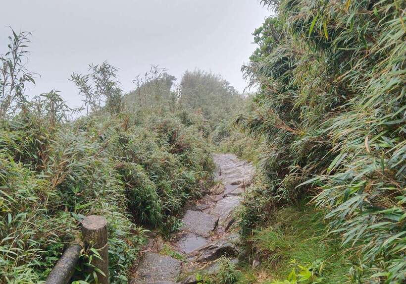 SAPA : Climb up to Fansipan mountain with LOCAL GUIDE - The hard middle hours: rocks, stairs, and scrambling