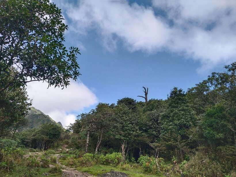 SAPA : Climb up to Fansipan mountain with LOCAL GUIDE - Reaching the 3,143-meter summit