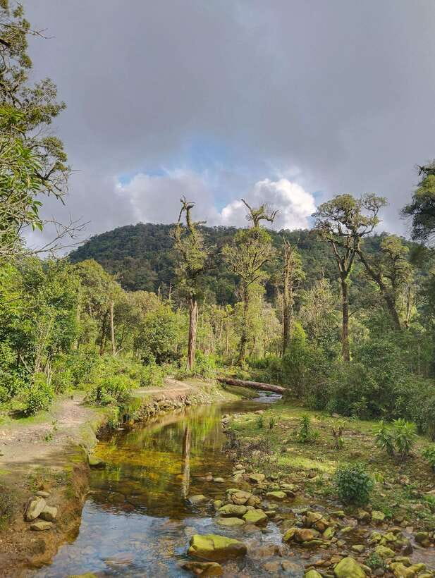 SAPA : Climb up to Fansipan mountain with LOCAL GUIDE - The descent: choose your legs or the cable car