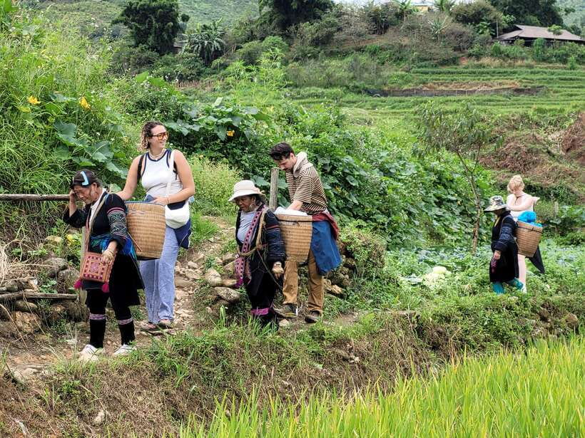 Sapa: Discover the Secrets of the Red Dao: A Healing Journey - Starting at Sapa Church at 9:00 AM