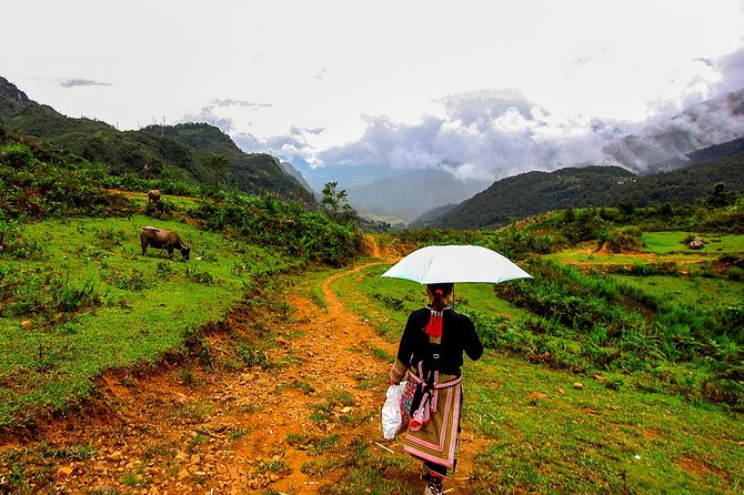 Sapa Easy Trekking Tour 1 Day - Rice Paddies and Cultures - Why this Sapa trek feels different from a town excursion