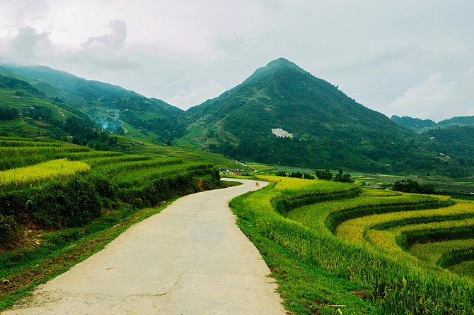 Sapa Easy Trekking Tour 1 Day - Rice Paddies and Cultures - Lunch, transport, and what the $40 covers