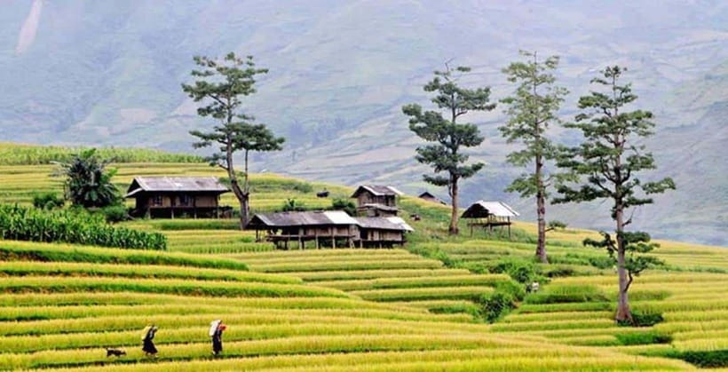 Sapa: Eco Adventure Terrace Fields and Local Villages Trek - Lao Chai Sang and lunch at about 12:30 PM