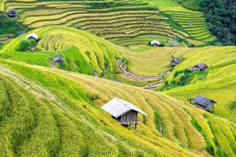 Sapa: Eco Adventure Terrace Fields and Local Villages Trek - Lao Chai Village and Hmong daily life