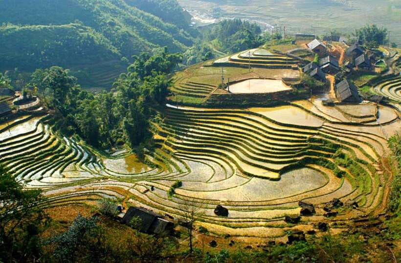 Sapa: Eco Adventure Terrace Fields and Local Villages Trek - What the guides add to the day