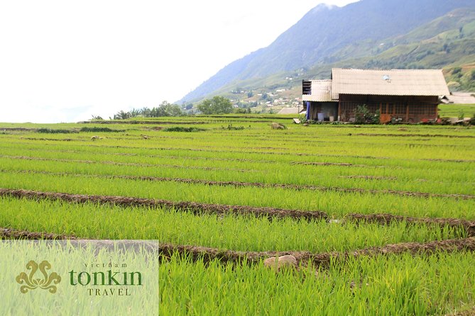 Sapa hard trekking villages homestay 3days/ 2nights tour - amazing culture - Why this route gives you more than a Sapa viewpoint