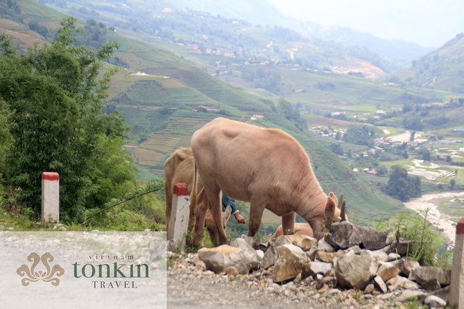 Sapa hard trekking villages homestay 3days/ 2nights tour - amazing culture - Homestays, food, and the comfort trade-off