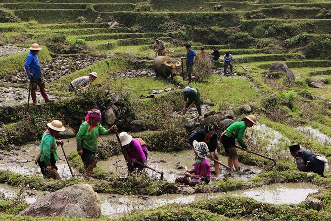 Sapa Hmong Family Trekking Adventures - Day 1: from Cat Cat toward Y Linh Ho