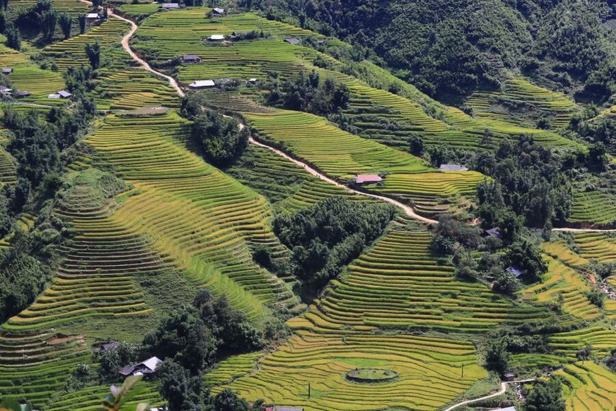 Sapa: Local Exploration on a Guided Motorbike Tour - Who will enjoy this ride most?