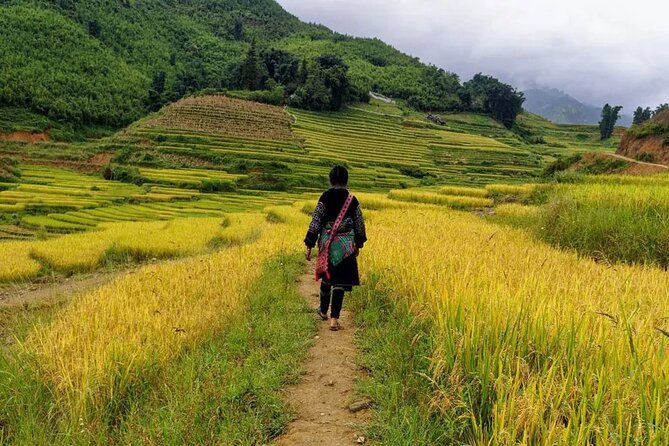 Sapa Local Trekking Adventures - Weather, footwear, and the real effort involved