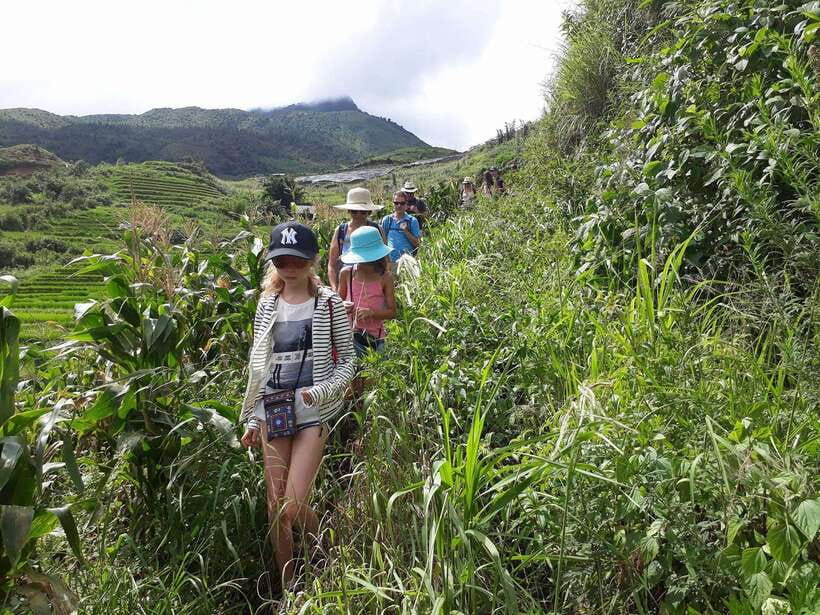 Sapa: Love Silver Waterfall, LonelyTree in Heaven-Rice Field - Silver Waterfall from the mountain road