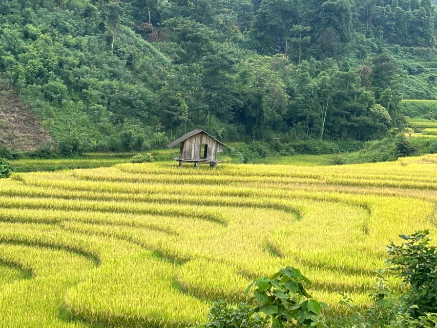 Sapa: Motorbike Tour 1 Day Visit Waterfalls & Local Villages - Ta Van, Hau Thao, and Su Pan before returning