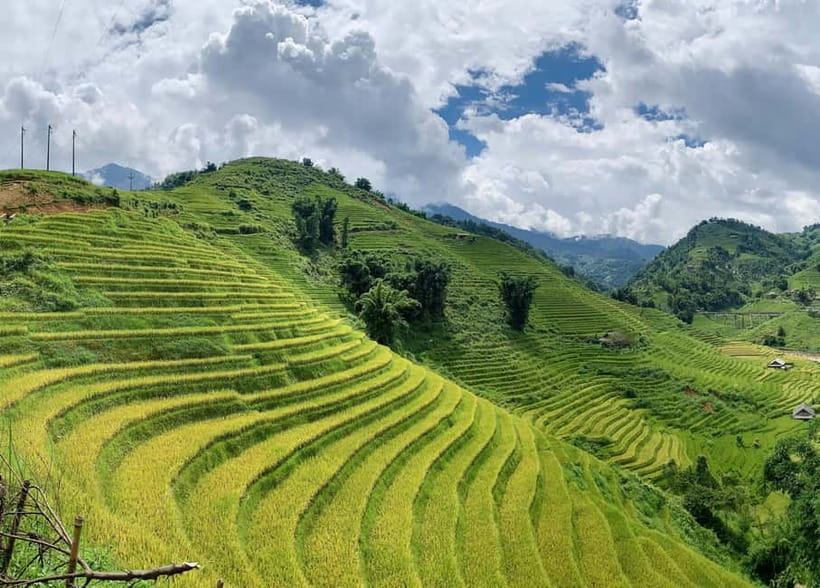 Sapa: Motorbike Tour to Hidden Villages & Terraced Fields - Who Will Enjoy This Tour Most