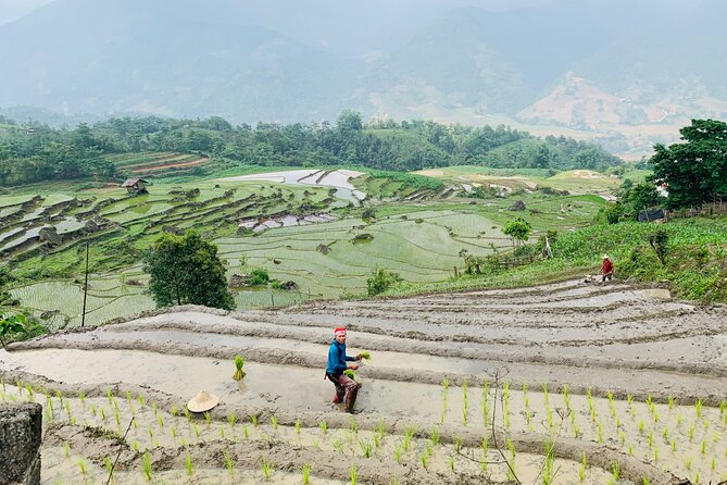 Sapa Motorbike Tour With Local Guide 1 Day - Waterfalls, Villages - Muong Hoa Valley is the heart of the day