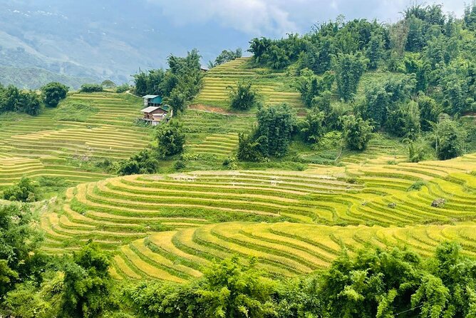 Sapa Motorbike Tour With Local Guide 1 Day - Waterfalls, Villages - The roads are part of the adventure