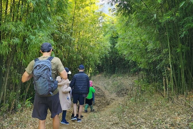 Sapa Mountain Escape: 2-Day Trekking, Rice Terraces & Homestay - What the $80 price really covers