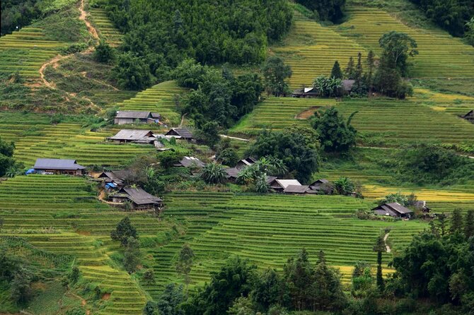 Sapa Muong Hoa Valley & Ta Van Eco Village Scenic Tour (No Trek) - Guide quality and communication