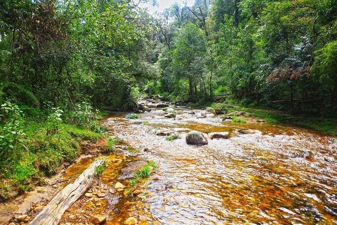Sapa Private Car Tour to Silver & Love Waterfalls and Lonely Tree - Is $50 per person fair value?