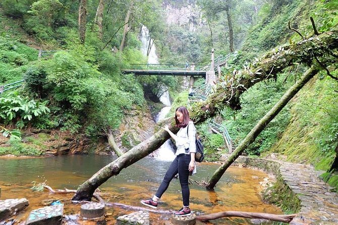 Sapa Private Car Tour to Silver & Love Waterfalls and Lonely Tree - The Lonely Tree on O Quy Ho Pass