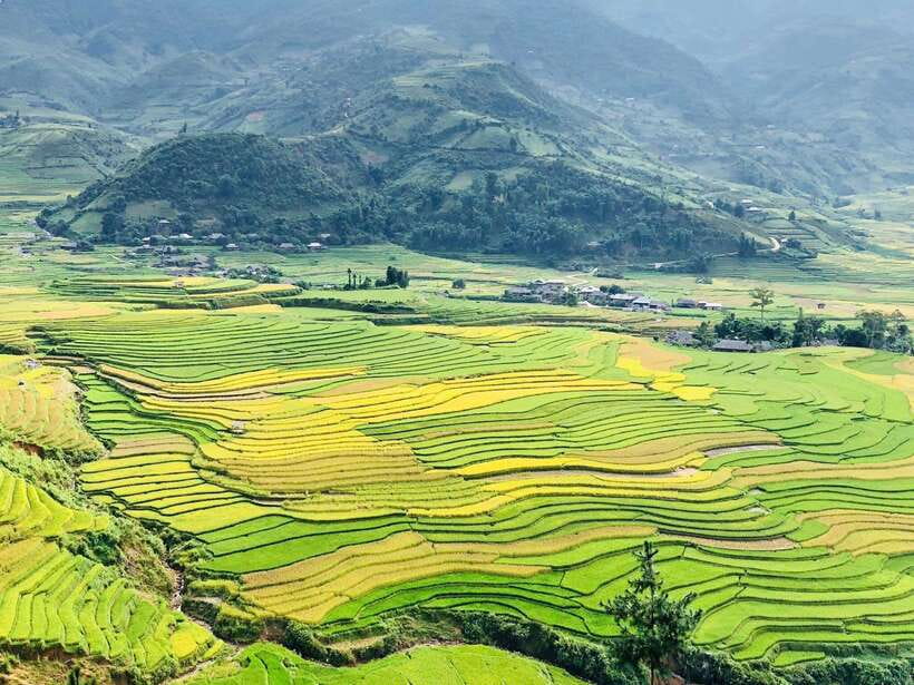 Sapa: Private Highlights Day Tour with Lunch - Y Linh Ho and the Muong Hoa Valley