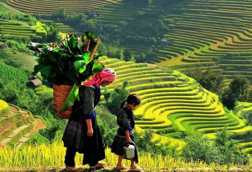 Sapa: Ta Phin Village Trek with Lunch and Bathing Experience - Ta Phin and the Hmong and Red Dao traditions