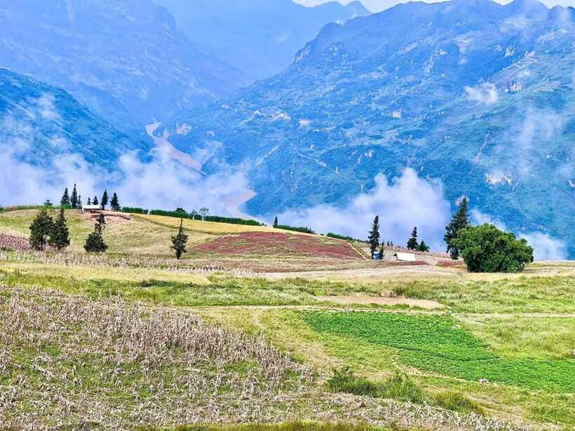 Sapa: Ta Phin Village Trek with Lunch and Bathing Experience - Should you book this Sapa trek?