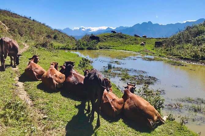 Sapa The Hidden Trail Trek 1 Day - Mountain & Rice Valley - How difficult is the Sapa Hidden Trail Trek?