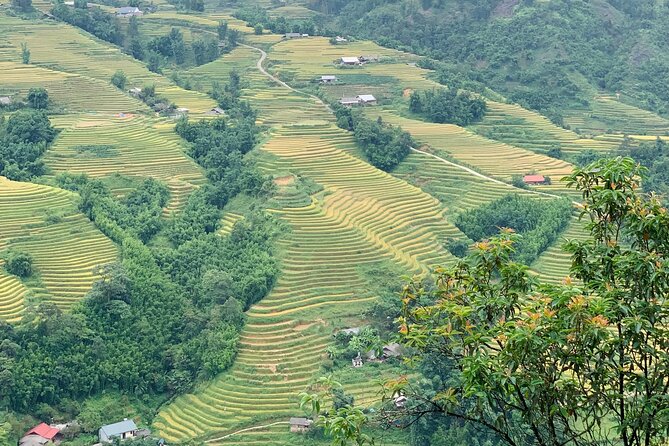 Sapa The Hidden Trail Trek 1 Day - Mountain & Rice Valley - Guides are central to the experience