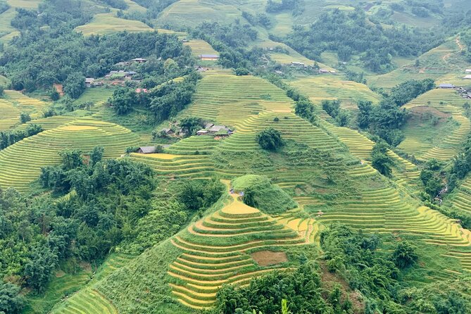 Sapa The Hidden Trail Trek 1 Day - Mountain & Rice Valley - Lunch after the morning climb