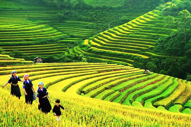 Sapa Tours 2D1N stay At 4 stars hotel nice Sleeping Bus TRANSFER - What the $145 package really covers