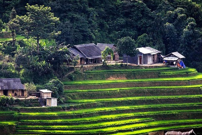Sapa Tours 2D1N stay At 4 stars hotel nice Sleeping Bus TRANSFER - Your guide and group size