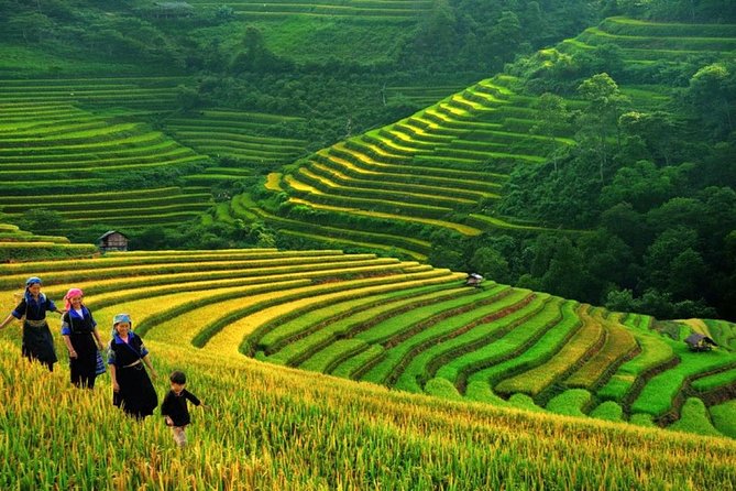 Sapa Trek Tours -2D1N Stay At 3*** -TRANSFER BY SLEEPING BUS - Why this Sapa trip works for a short Vietnam visit