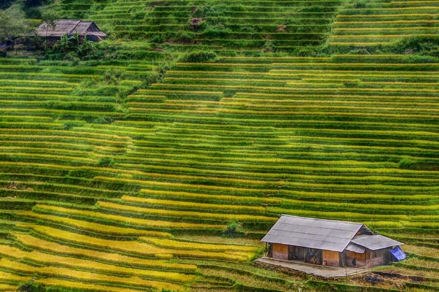 Sapa Trekking Bargains With Local Guide - Five things to know before you go