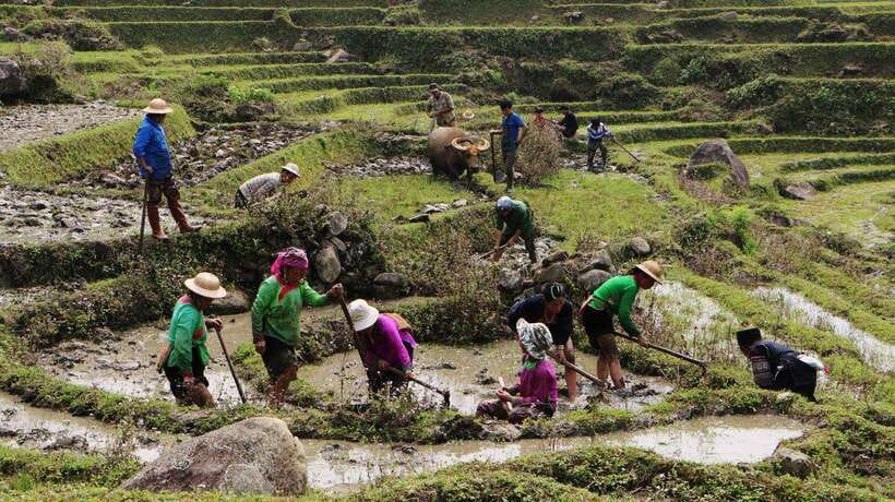Sapa Trekking Bargains With Local Guide - A $19 walk into Sapa’s mountain life