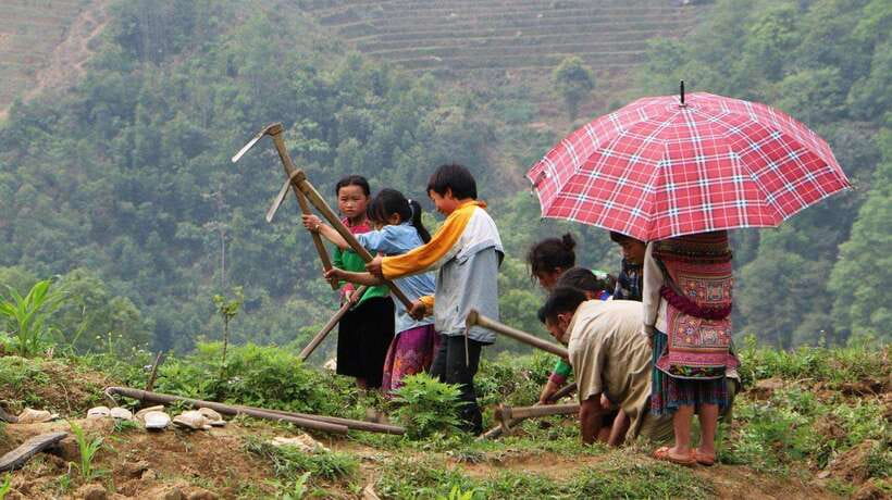 Sapa Trekking Bargains With Local Guide - Y Linh Ho: the first stretch through the valley