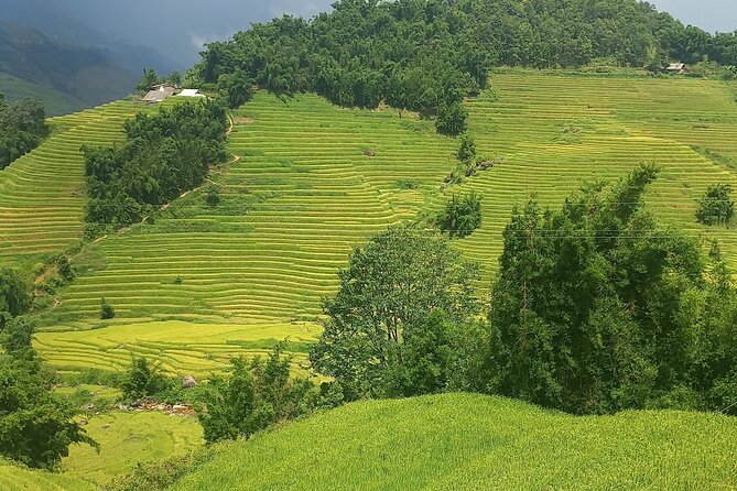 Sapa Trekking / Hiking through Sapa Valley with native Hmong - Starting at Sapa Church and heading into the valley