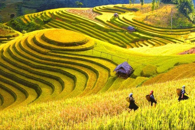 Sapa Trekking Tours - 2 Days 1 Night Stay At Homestay - Cat Cat Village and the first 5 kilometers