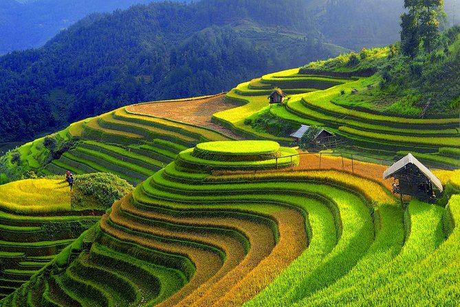 Sapa Trekking Tours - 2 Days 1 Night Stay At Homestay - The shared homestay experience