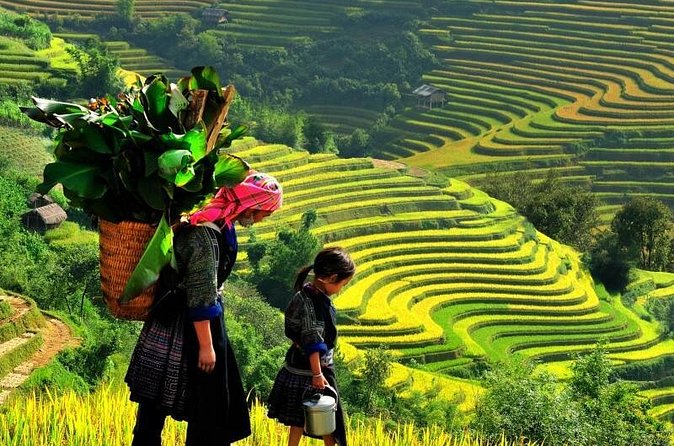 Sapa Trekking Tours - 2 Days 1 Night Stay At Homestay - Y Linh Ho, Lao Chai, and Ta Van on day two