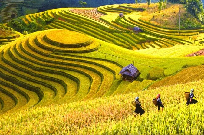 Sapa Trekking Tours - 2 Days 1 Night Stay At Homestay - What the guide adds to the route