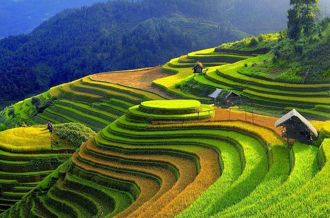 Sapa Trekking Tours - 2 Days 1 Night Stay At Homestay - What $109 buys you