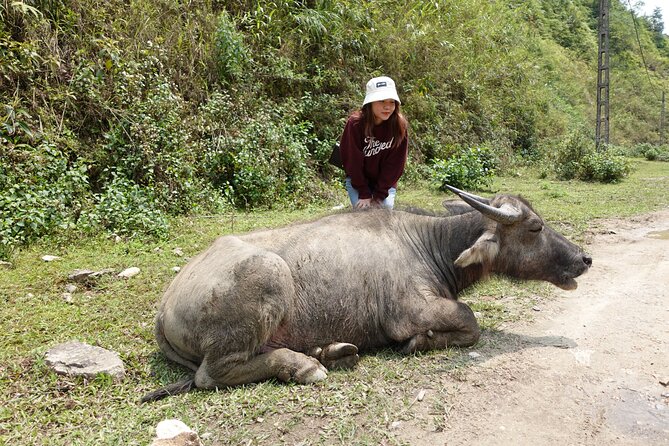 Sapa Valley Trek and Homestay - 3D2N - Su Pan and Ban Ho’s mix of communities