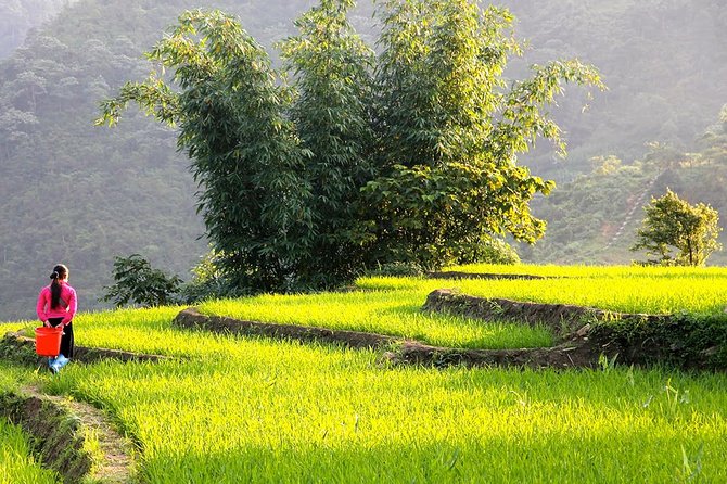 Sapa Valley Trek and Homestay - 3D2N - Giang Ta Chai: waterfalls, forest, and a harder morning