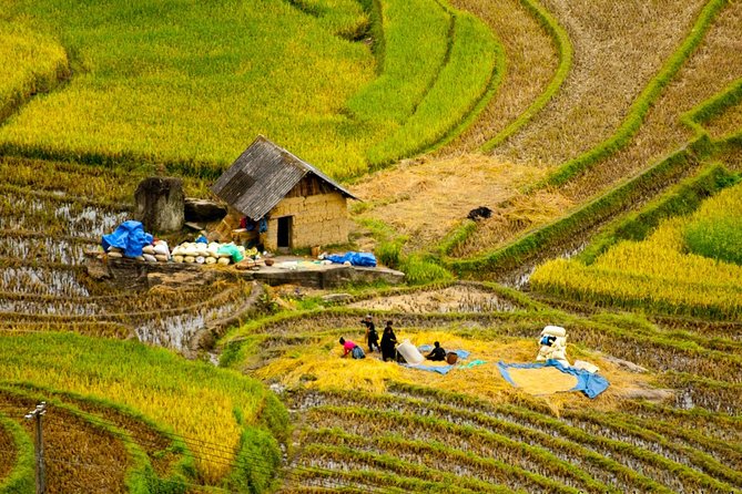 Sapa Villages trekking and homestay 2 Days/ 1 night package tour: best selling - Day one: from Sapa to Y Linh Ho and Lao Chai