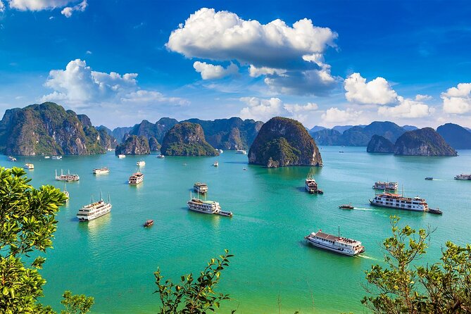 Shore Excursion: Amazing Day Cruise at Ha Long Bay - Sung Sot Cave, the biggest physical challenge