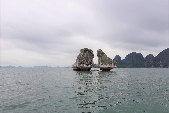 Shore Excursion: Amazing Day Cruise at Ha Long Bay - Is $89 good value?