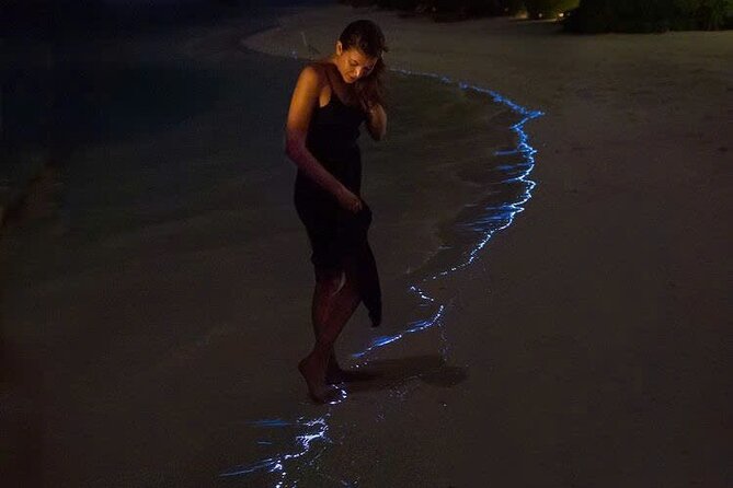 Sunset and Plankton Bioluminescent Night Kayak Lan Ha Bay - Key points to know before booking